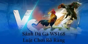 Bí Kíp Chơi Đá Gà WS168 Tại Fastgame888 Thắng Lớn Nhận Tiền Mỏi Tay