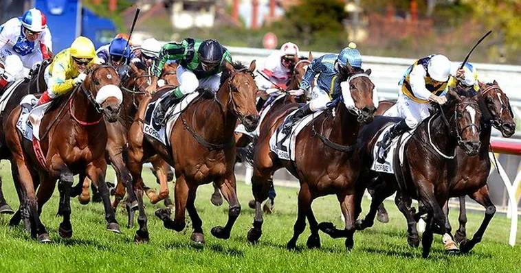 Bí Kíp Cá Cược Đua Ngựa Fastgame888 Thắng Lớn Nhận Tiền Tỷ Về Tay